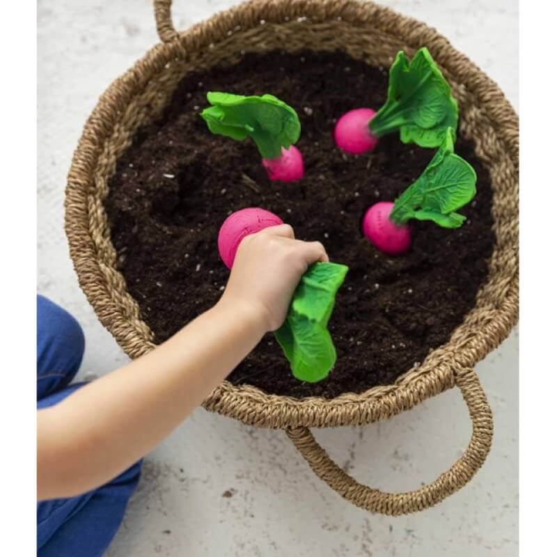 OLICAROL-rapanaki-c-550×635-1