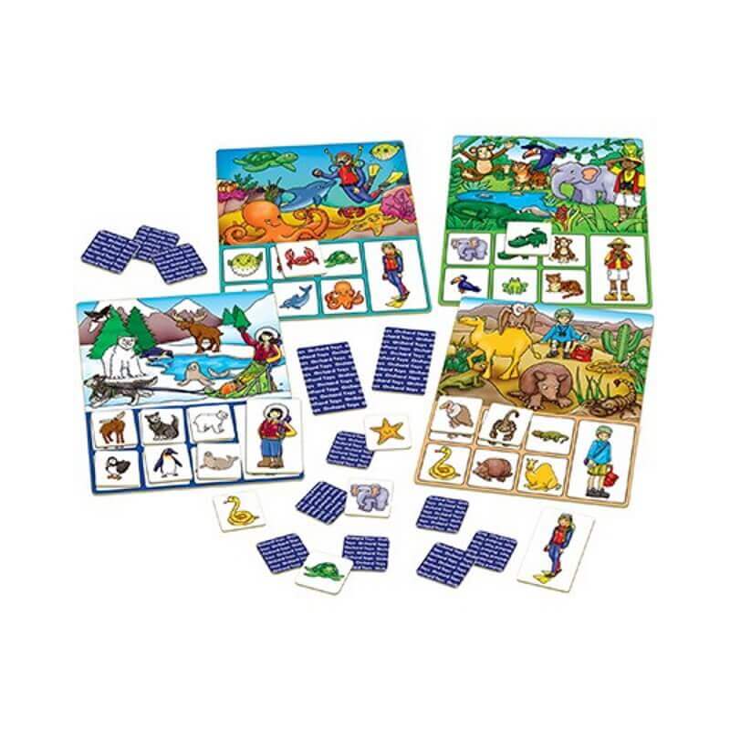 orchard_toys_where_do_i_live_game_contents