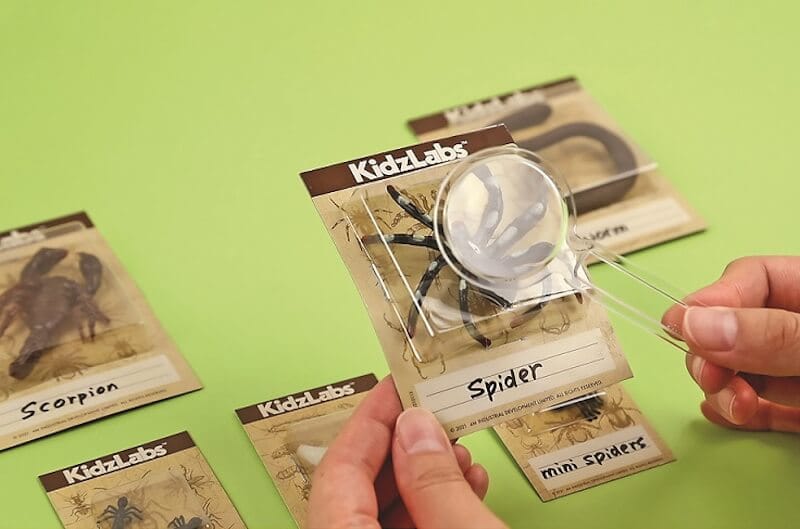  Kidzlabs Ανασκαφή Ζωύφια του Πλανήτη