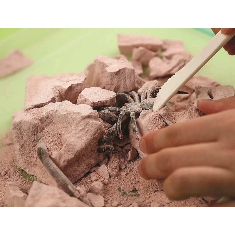  Kidzlabs Ανασκαφή Ζωύφια του Πλανήτη