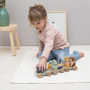 trixie-wooden-train-animals_2