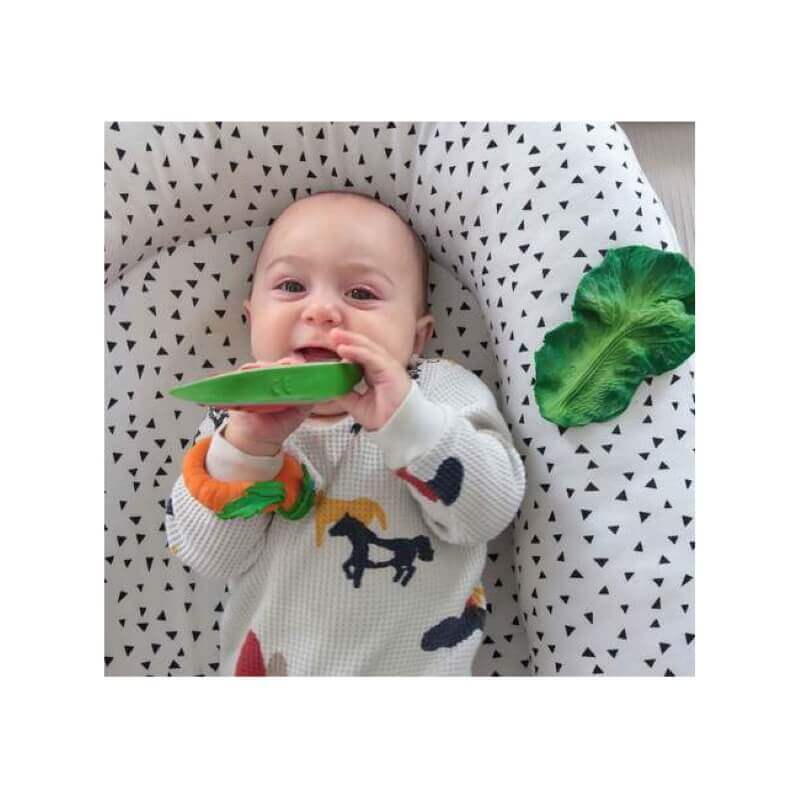 L-WALLY-THE-WATERMELON_UNIT_izaskun_mg-3_large