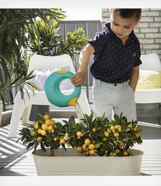 quut-potistiri-green-a-550×635-1