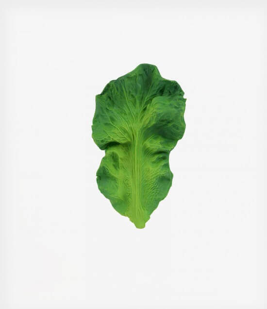 OLICAROL-kendal-550×635-1