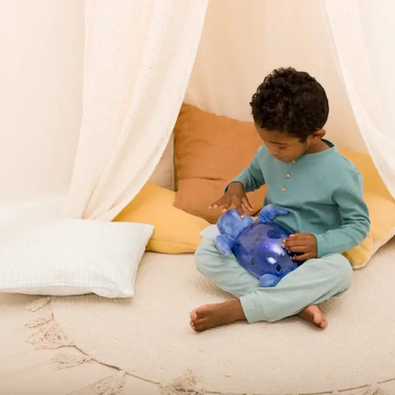 CLOUD B Tranquil Turtle Blue USB