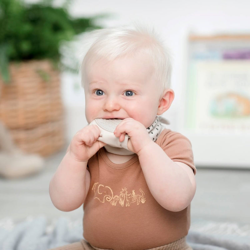 Cheeky Chompers Σαλιάρα με μασητικό – Dino and Friends