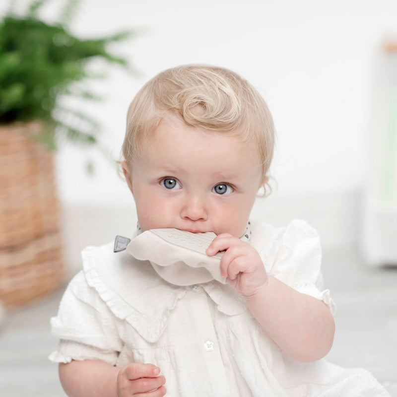 Cheeky Chompers Σαλιάρα με μασητικό – Dino and Friends