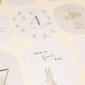 Little Dutch Αναμνηστικές κάρτες - Milestone Cards Baby Bunny