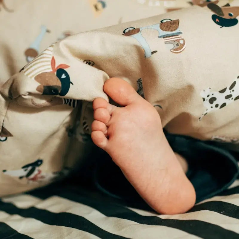 La Millou Παιδικη Χειμερινή Κουβερτα Pierre The Dog – Large