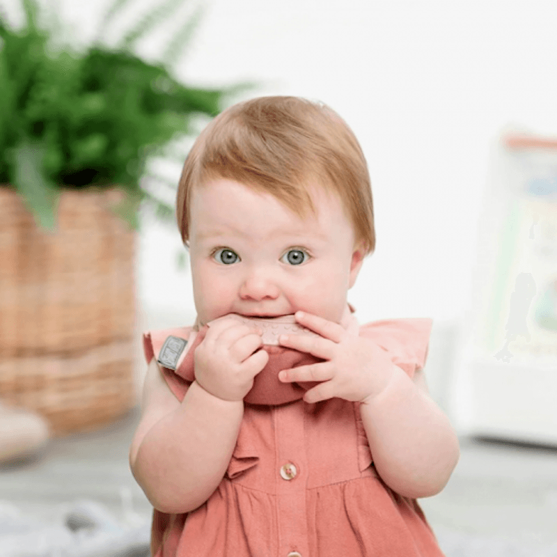Cheeky Chompers Comfortchew Rainbow