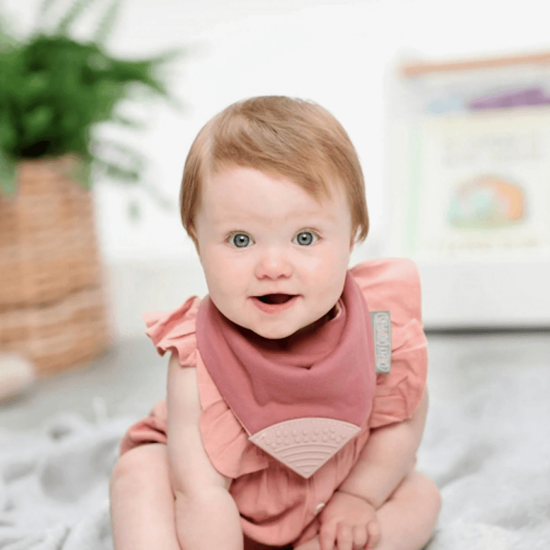 Cheeky Chompers Comfortchew Rainbow