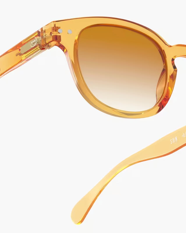 IZIPIZI CROSSROADS SUN #C POLARIZED - Golden Canyon