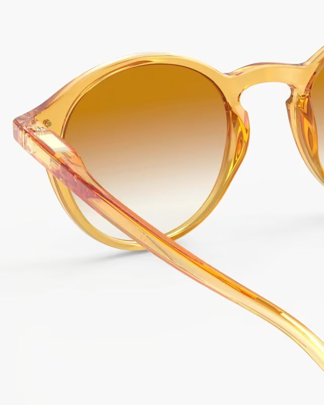 IZIPIZI CROSSROADS SUN #D POLARIZED - Golden Canyon