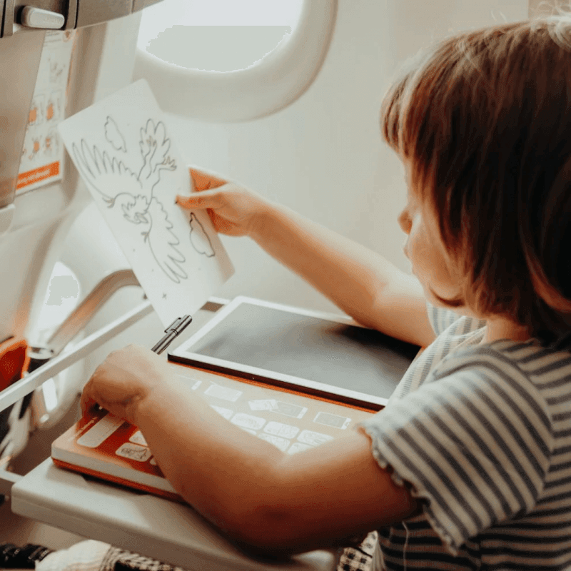 KIDYWOLF Tablet ζωγραφικής με οθόνη LCD (30 κάρτες)- Animals