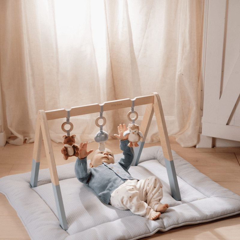 Little Dutch Βρεφικό γυμναστήριο Forest Friends 