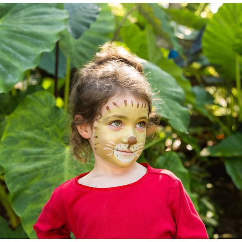 Namaki - Organic Face Paint Set - Lion & Giraffe